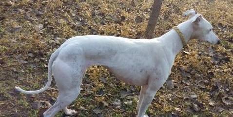 2436d376bb744574a1219bedf7903540.jpeg