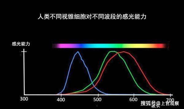 95045cc5c8cd47db922288c010e99ea5.jpeg