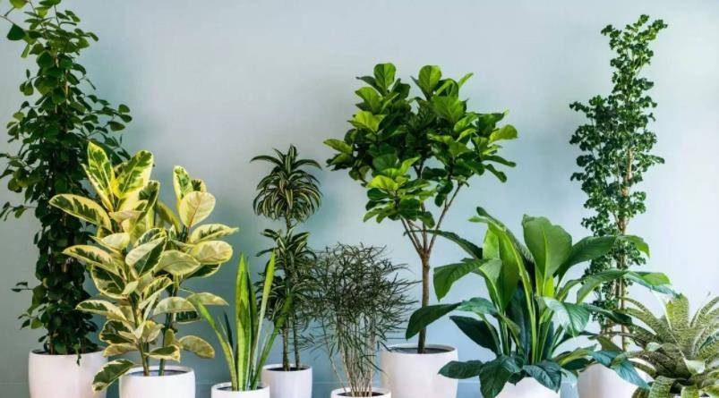 a7a20f029dd34eee9beebdc60d7738b7.jpeg