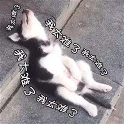 钟老|85岁钟南山的早餐，网友：早餐很营养，但自己做不到