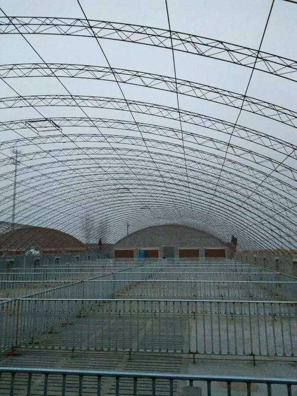 新式养殖大棚建造宽敞通风适合各种养殖