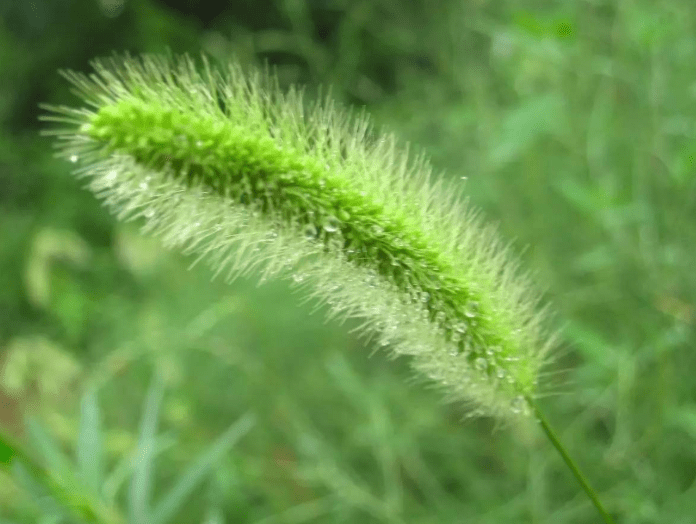7f4a96e37b934ac29125423e903c643d.png