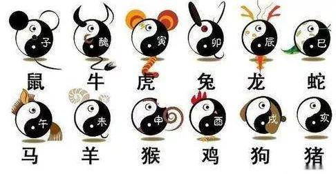 反反复复是什么生肖，全新揭晓答案