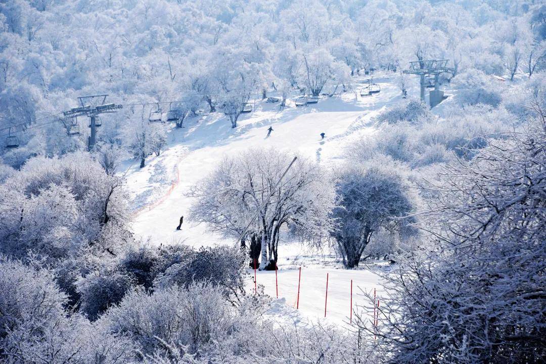 雪地|全国冰雪旅游精品线路出炉！阿坝州三地上榜！