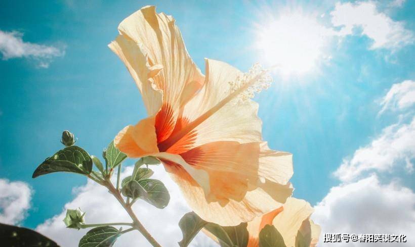 怎么样让自己运气变得特别好 39fecc3cf6984c98b5218a006088f945.jpeg