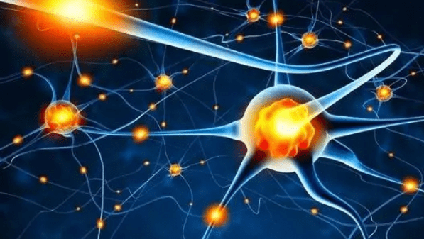 神经系统|运动神经元案例分享