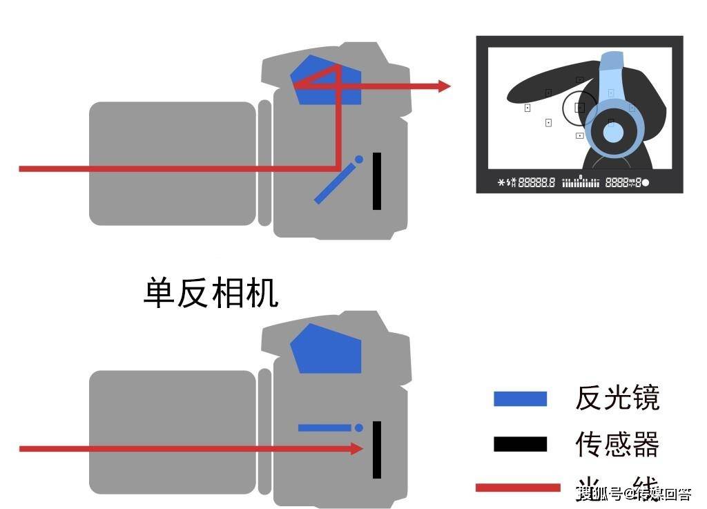 2021单反与无反相机终极对决,10项数据对比,结果决定选择_检测_图像_镜头