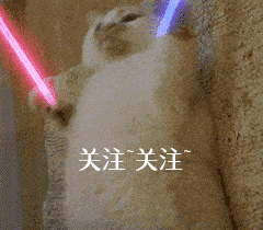 因为|悄悄告诉你:被“养得好”的狗狗,会有这些特征