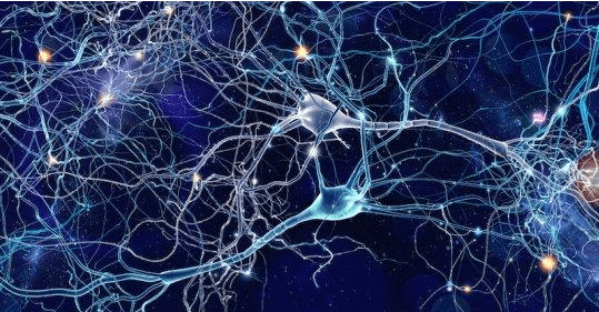 神经系统|运动神经元案例分享