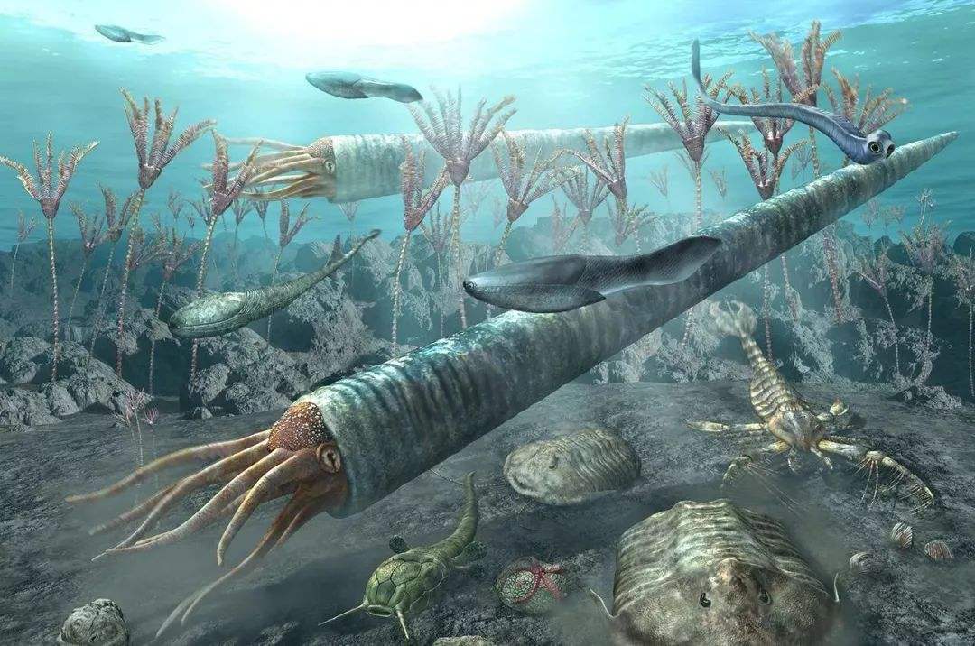 9亿年前,什么造就多姿多彩的奥陶纪生物大辐射?_地球_尘埃_海洋