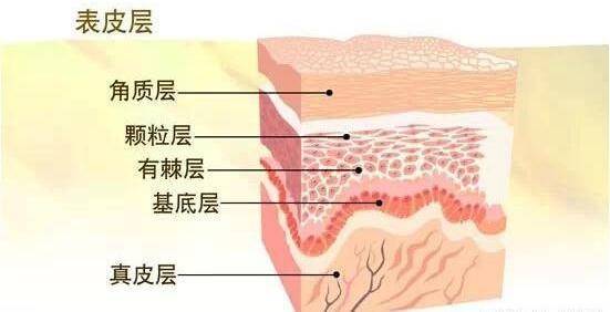 表皮层春节各种聚会如何成为焦点？节前一周变美攻略全攻略