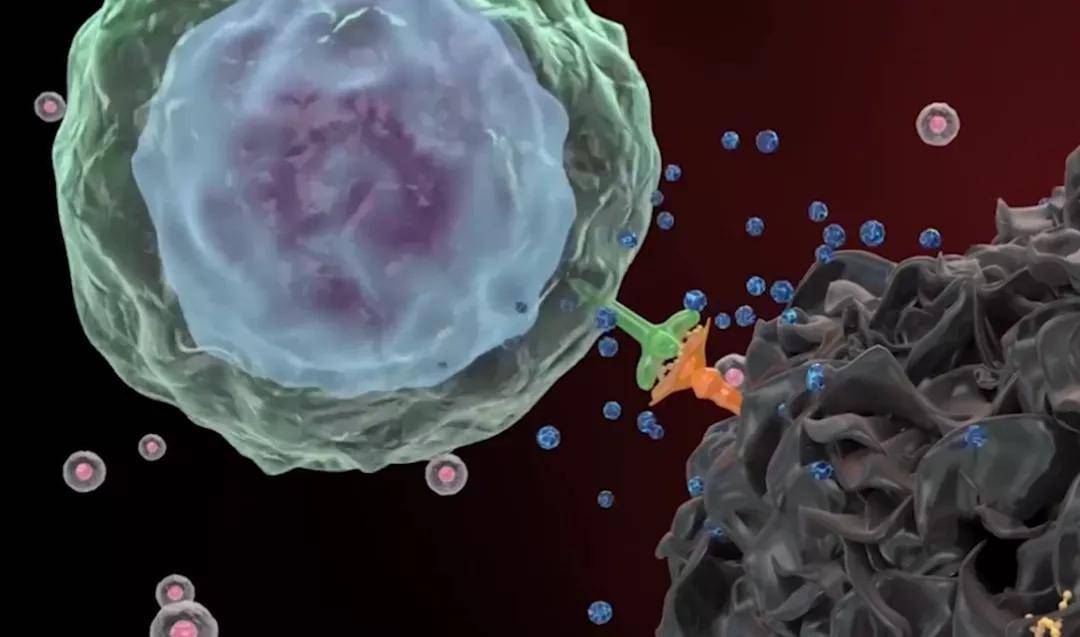 3周治疗消除5个肿瘤cart细胞疗法是何方神器