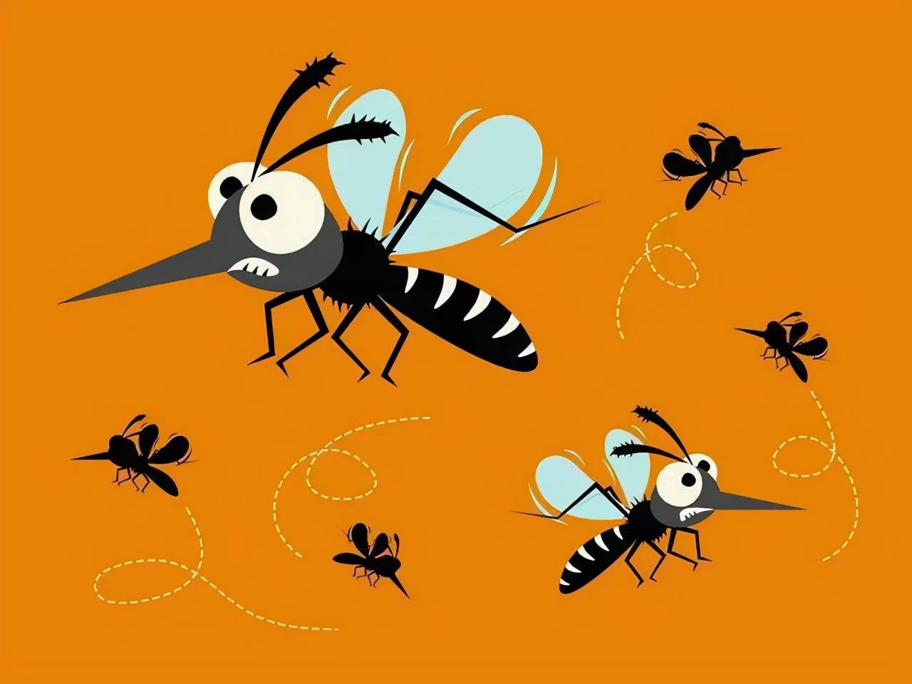 美国预计释放75亿只转基因蚊子专家恐将创造更难杀死的蚊子