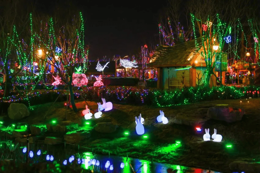 济南|赏雪景，看万点星光！这份快乐不能错过