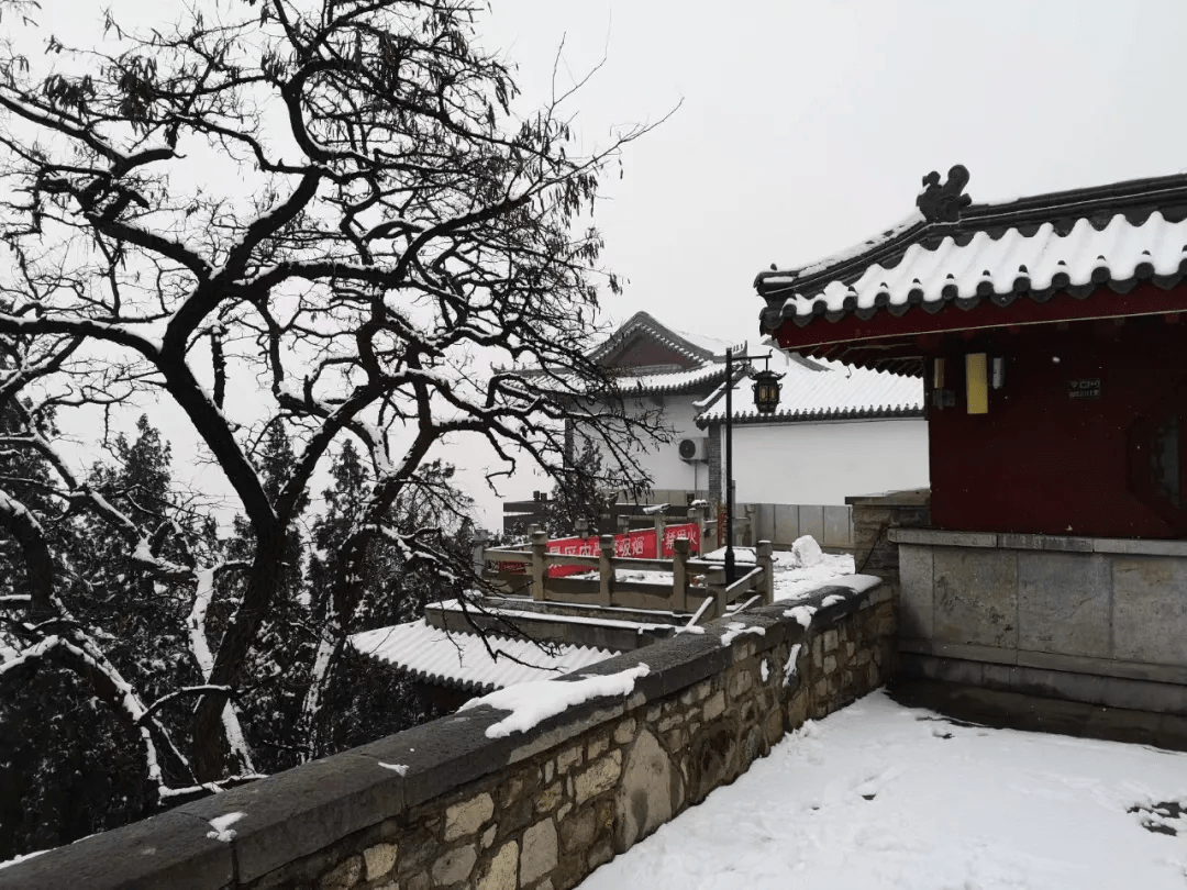 济南|赏雪景，看万点星光！这份快乐不能错过