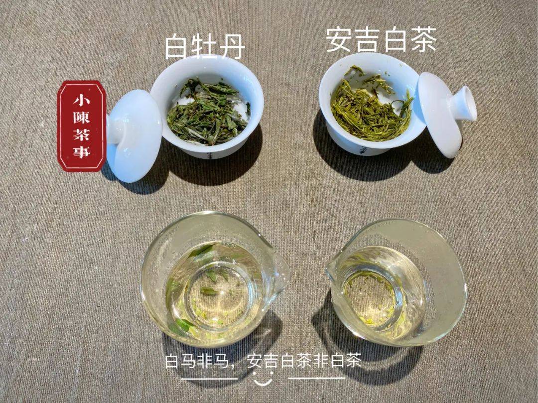 六大|六大茶类，哪些茶要及时喝，哪些茶要长期存？别等过期才后悔