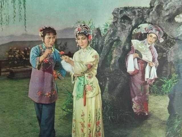 盛强|36岁亲嫂子嫁小叔，56岁再守寡，72岁求安乐死，赵丽蓉的悲情人生