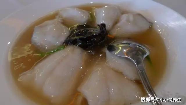 鱼片怎么煮好吃麻辣 6c2d39beaff8405bbb3b732cf1e117df.jpeg