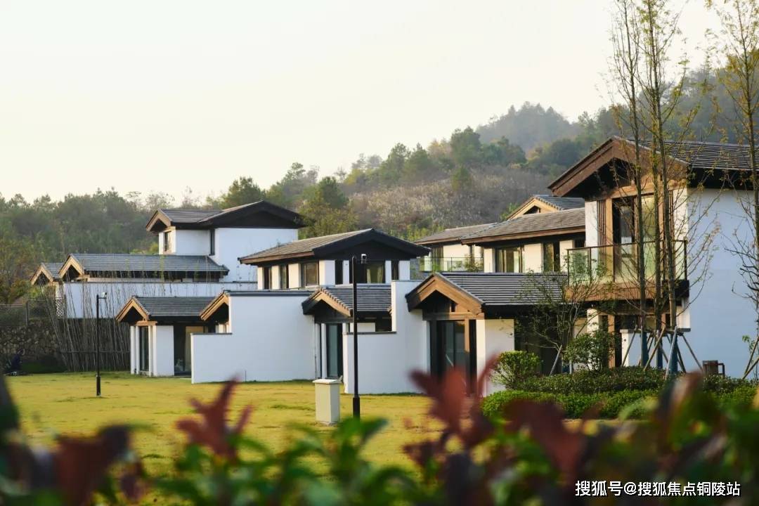 稀量稀珍 辉映理想绿城·安吉桃花源-桃源壹号,以东方诗文为笔,山水为