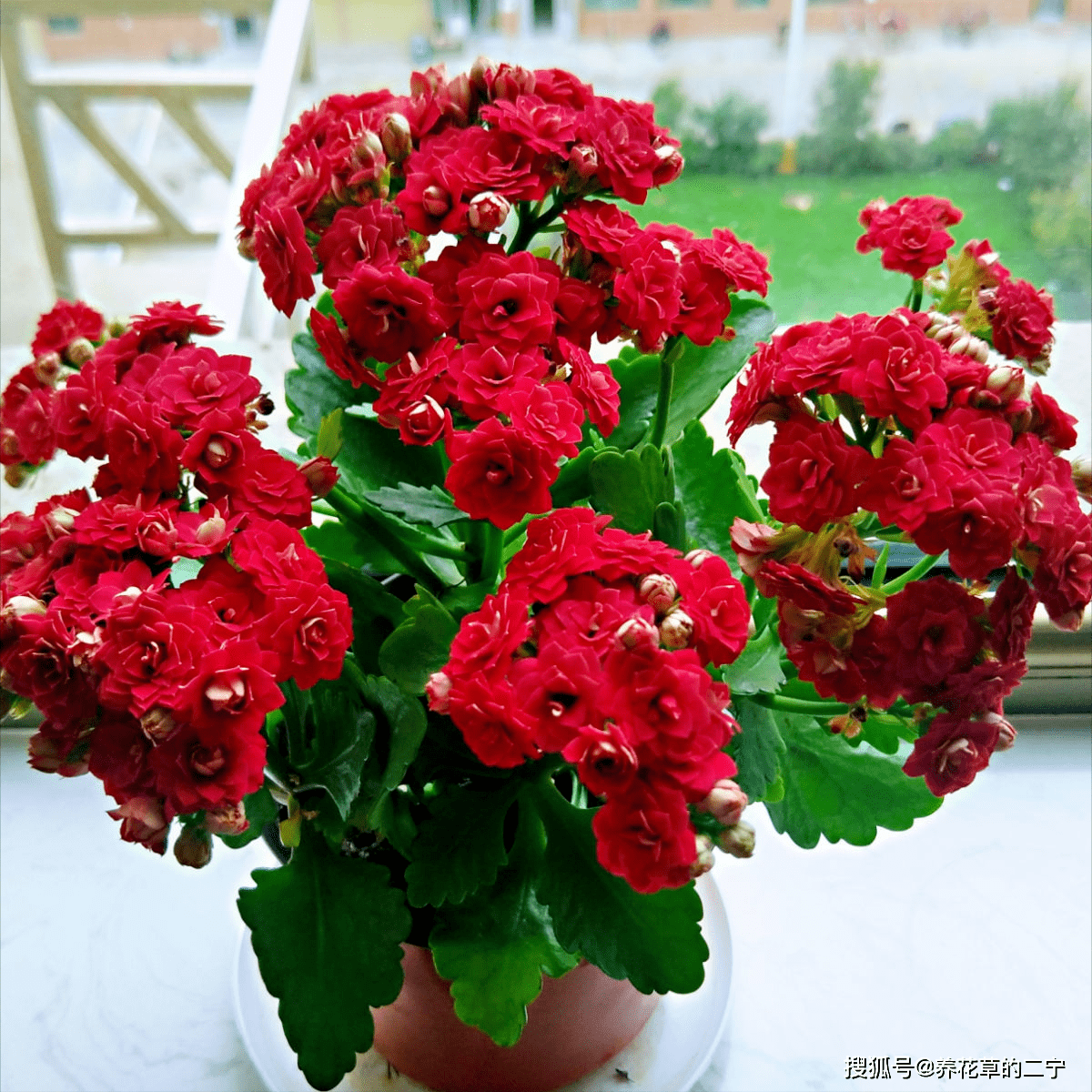 e5862e097b384a1592c5abf4fc6b13b2.png