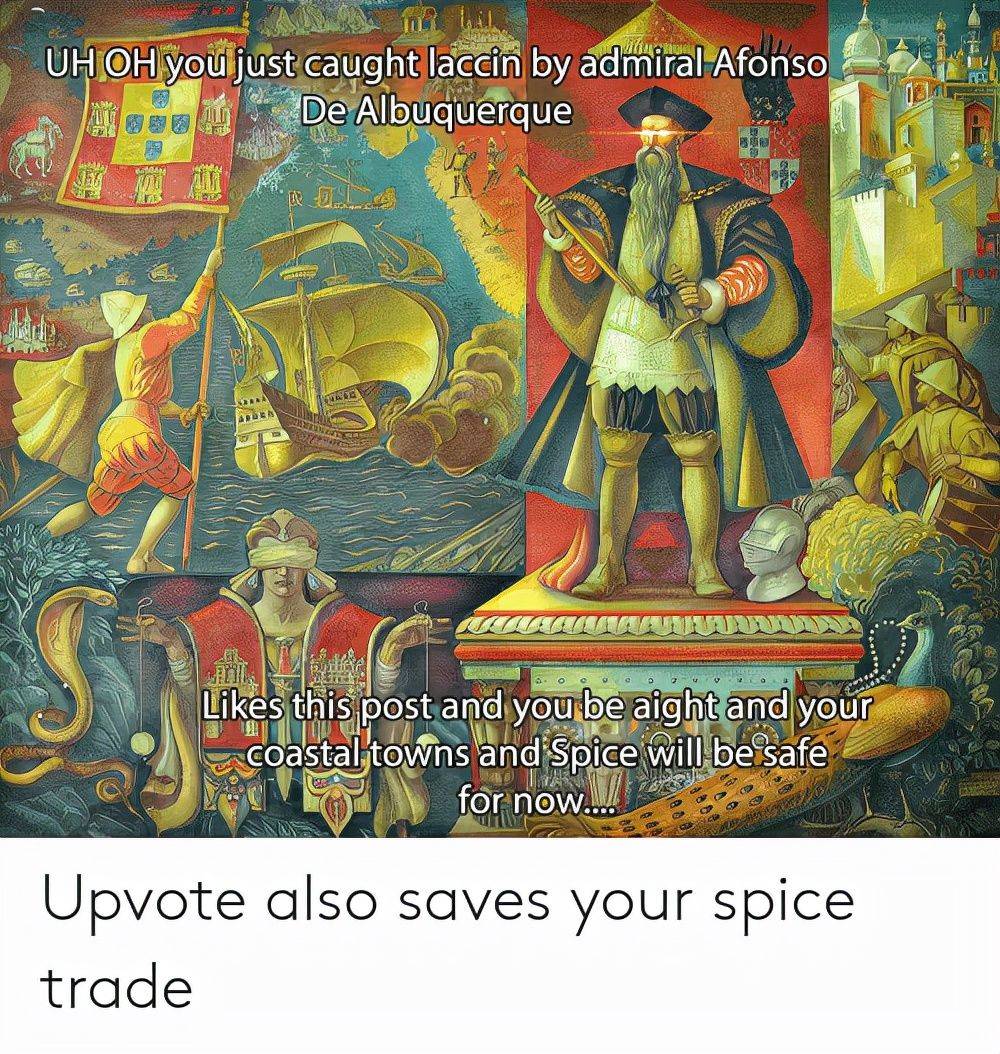 科蒂尼奥|印度洋的“三蛛同框”，却因为内耗导致各自为战--葡萄牙的征服3