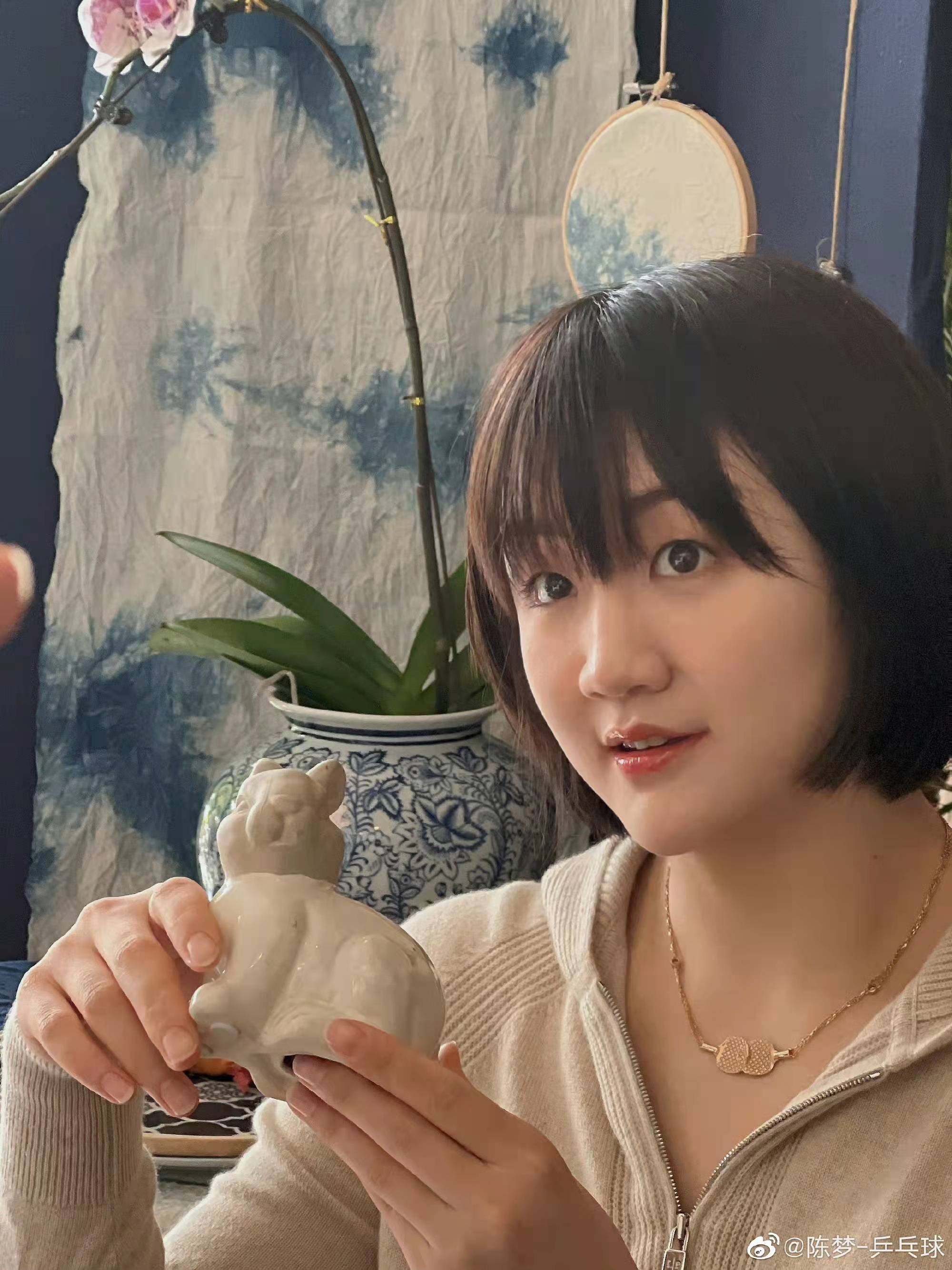 许昕马龙刘诗雯都没有参赛陈梦几乎是年龄最大的老将依然没有好