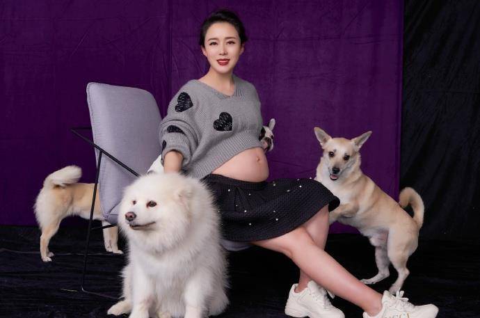 陈昊|“最美嫦娥”颜丹晨与宠物狗拍照，露出超大孕肚，43岁还是那么美