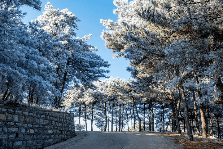 穿越|冬游济南｜赏年俗、看非遗、趣玩雪，一秒穿越到东北，欢乐过大年！