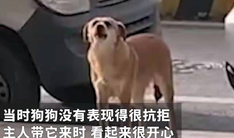 3cd50011d8e24c08b4076a49a4f406db.jpeg
