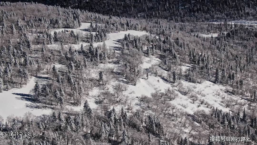 雪地|黑龙江群山之最，大秃顶子山雪景迷人