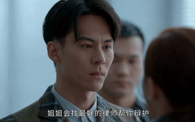 角色|《家族荣耀》罗嘉良露脸不到20秒,甄芯结局领盒饭?破案全靠云端