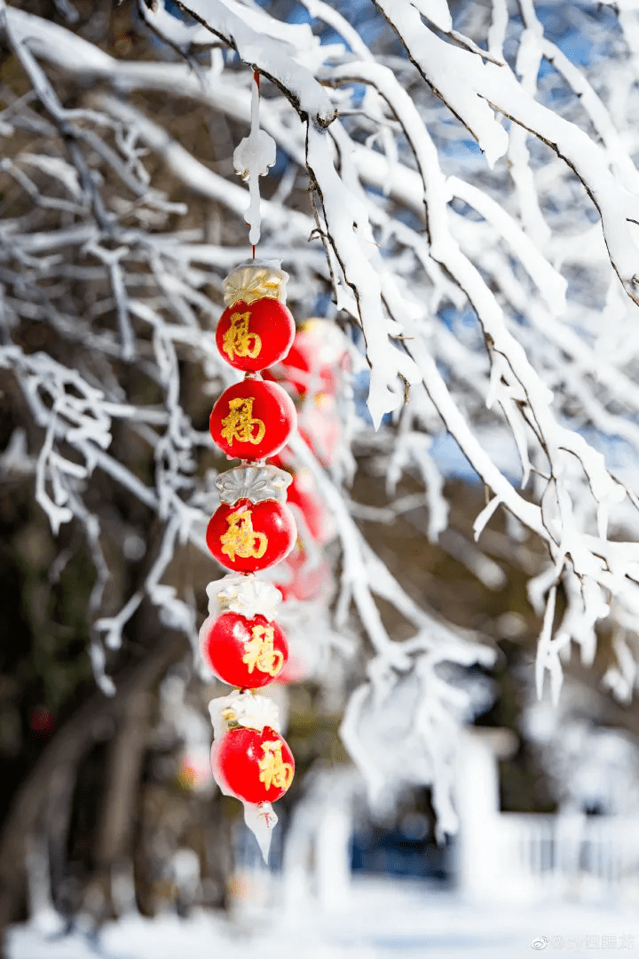 穿越|冬游济南｜赏年俗、看非遗、趣玩雪，一秒穿越到东北，欢乐过大年！