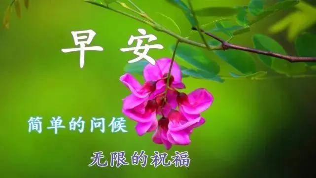 原创微信清晨发送朋友的阳光早安问候语祝福最美早上好温馨祝福短信