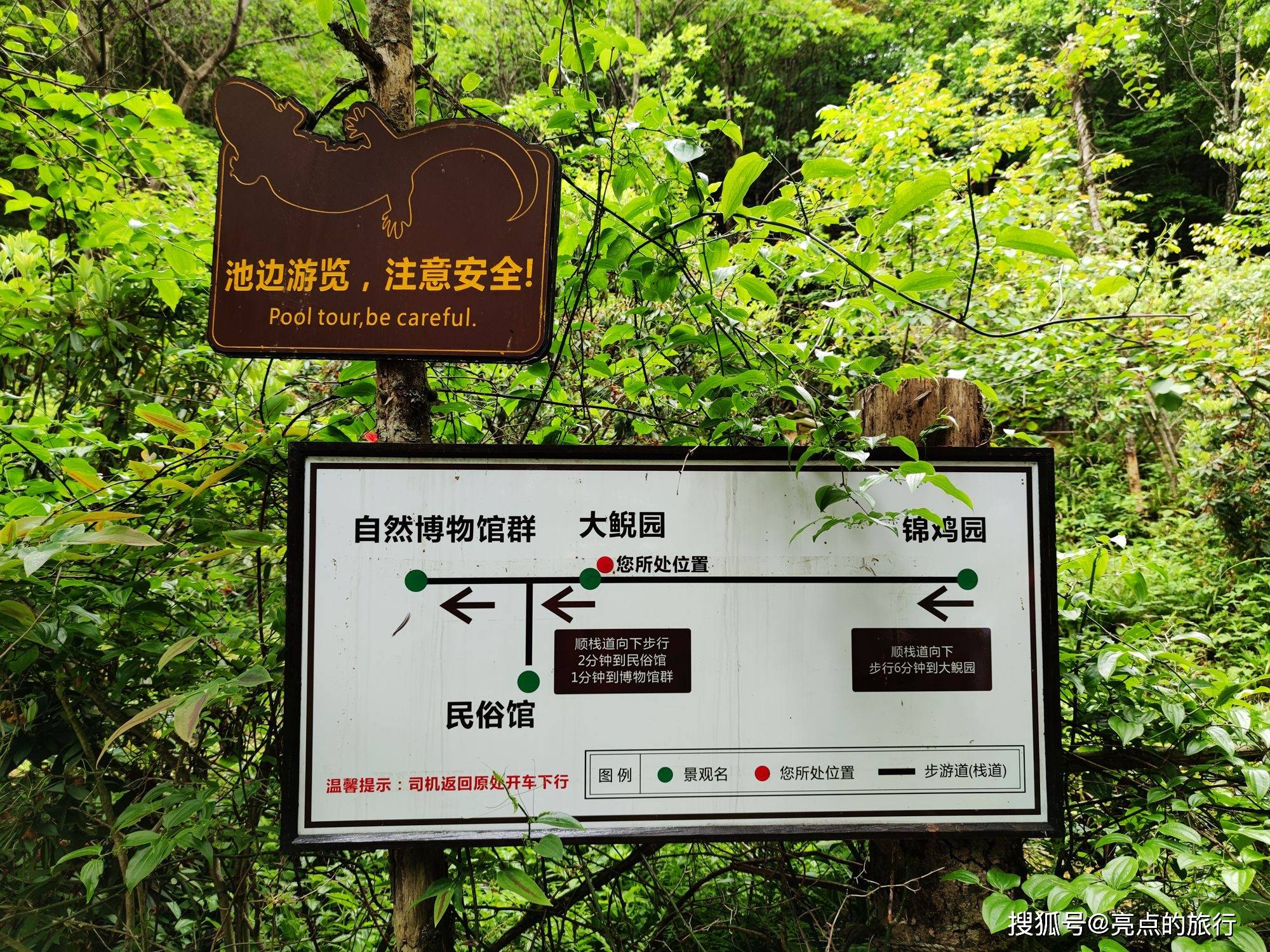 国家地质公园官门山:领略物种基因库的最佳场所