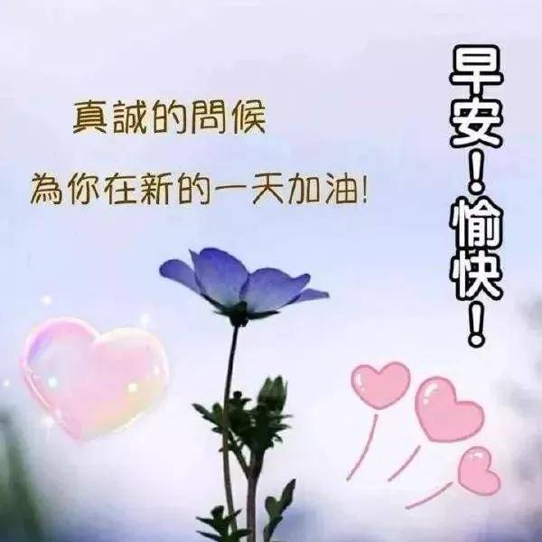 早安最美问候图片