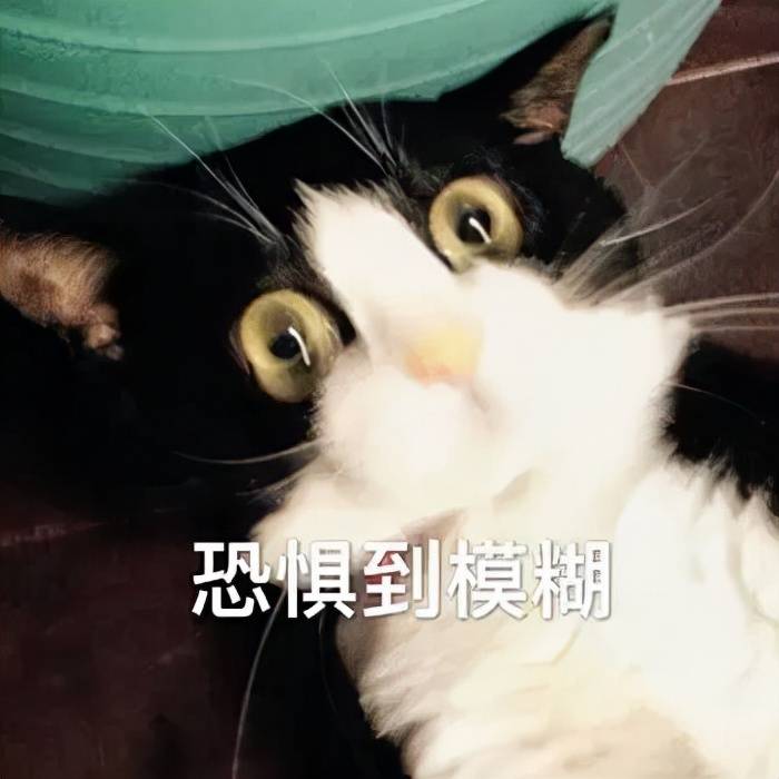 黑头她说自己的美貌主要归功于坚持不懈的皮肤管理？