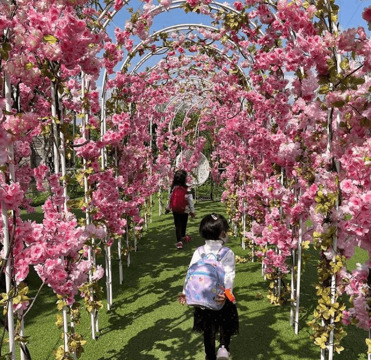 郭晶晶一家買花，霍啟剛「爸爸力」爆棚，懷裡抱一個脖子上騎一個 娛樂 第4張