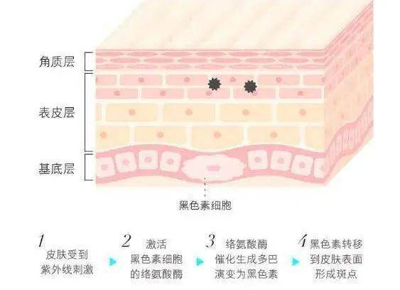 美容云南铜雀台杨才华院长：皮秒祛斑的原理