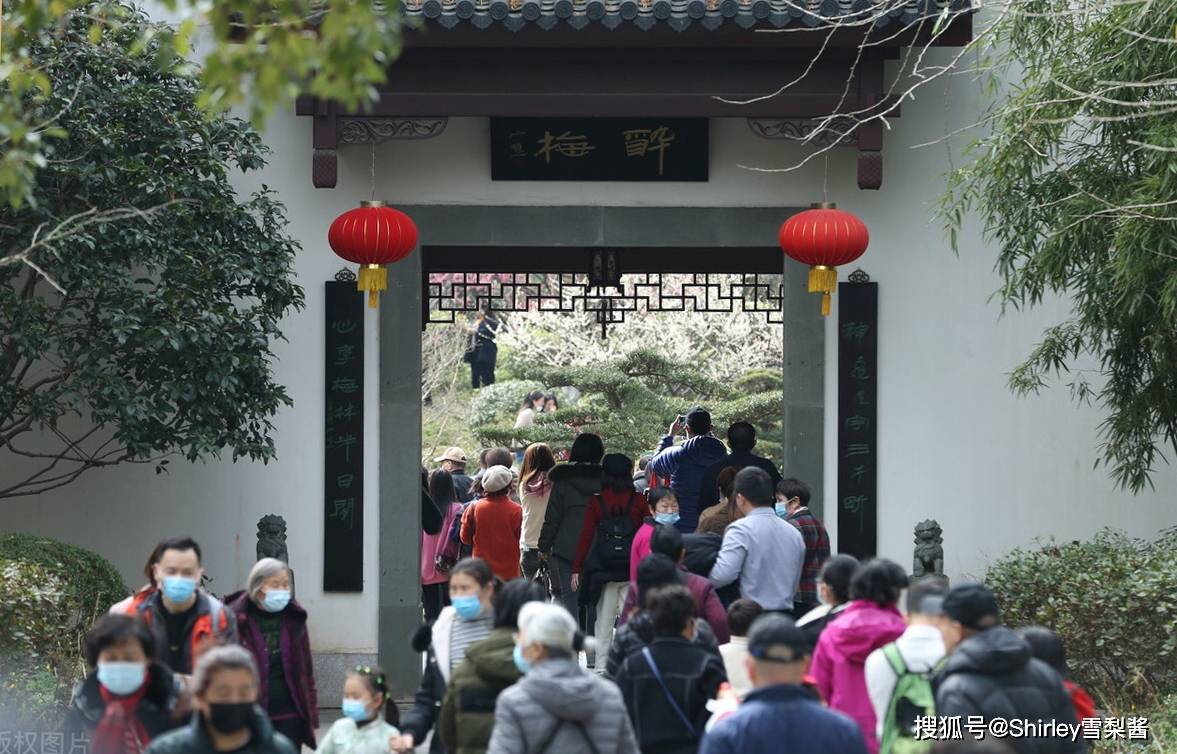 每年春节前后，上海这座公园的人气都会暴涨，成为“限时版网红”