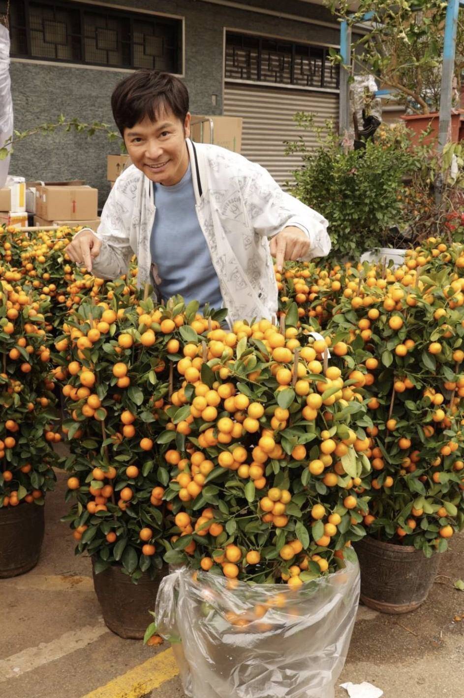 花市|TVB视帝郭晋安买年桔贺年，曝10岁女儿有画画天赋，主动设计春联