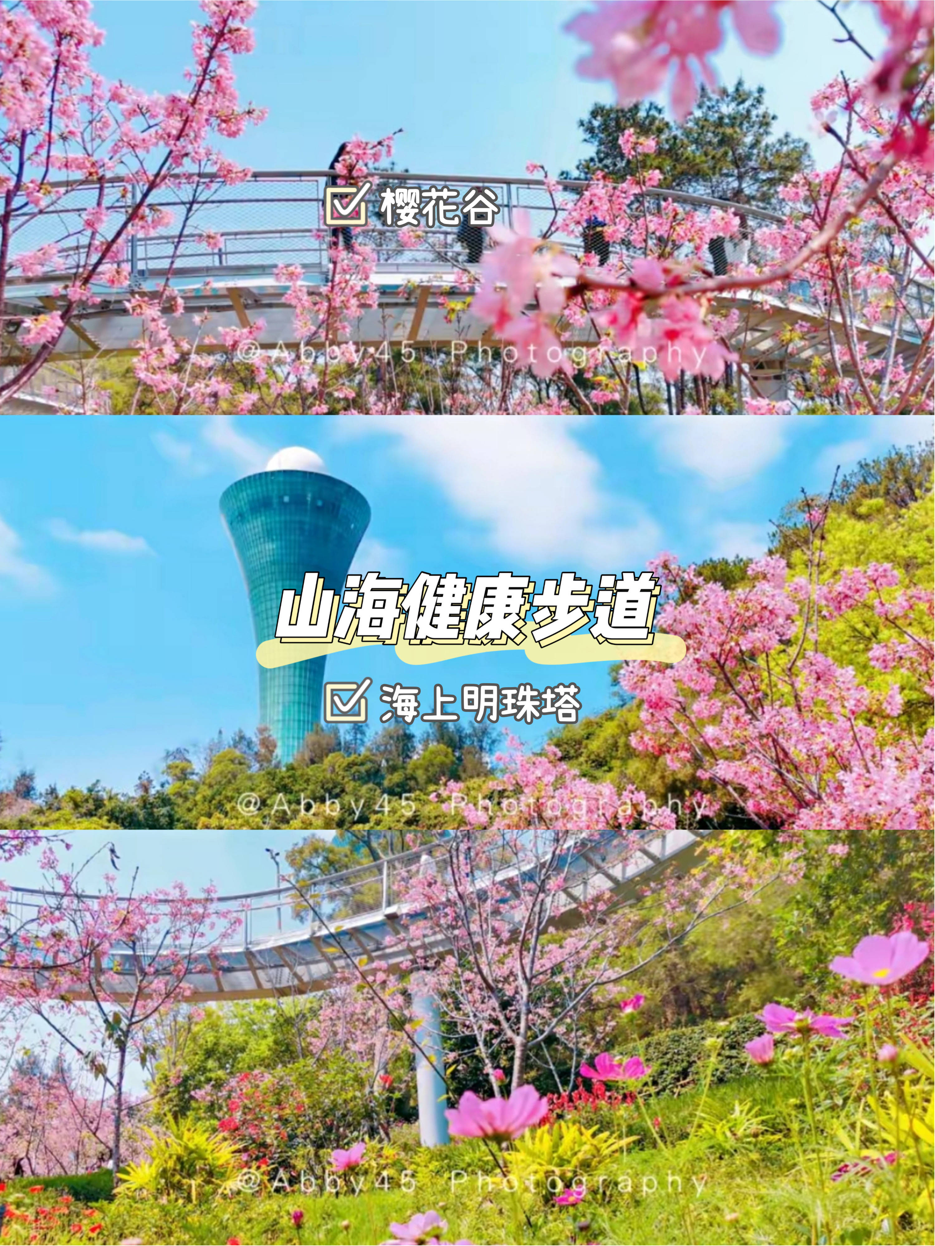 国际|春节到厦门玩，与其到景点扎堆，不如住进城市会客厅观山湖海