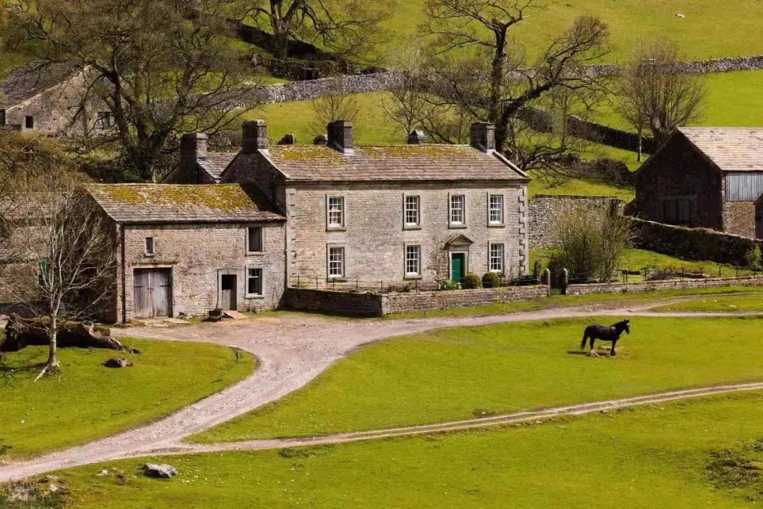 角色|律师，春节宅家看剧指南