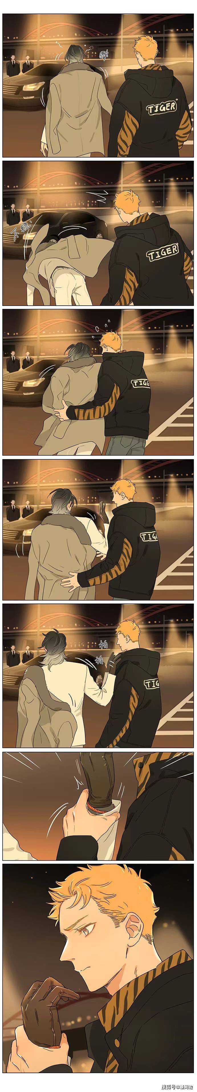 「漫画」狼王:虎年的小土豆