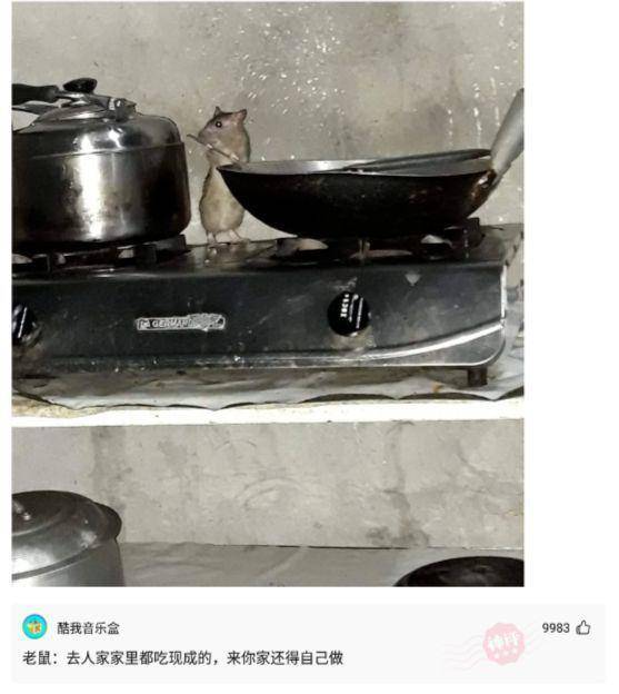 什么|神回复：我会为你挡子弹但不会再为你买早餐，这句话是什么意思？