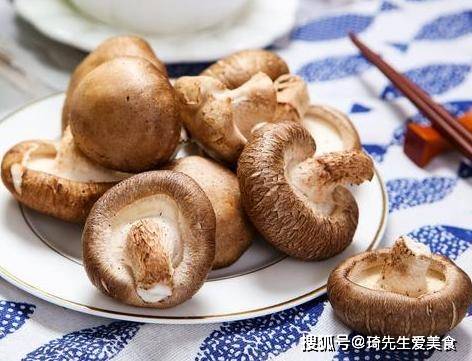 怎么挑选新鲜香菇最好 52b8408be224452b816a5fc3acca0314.jpeg