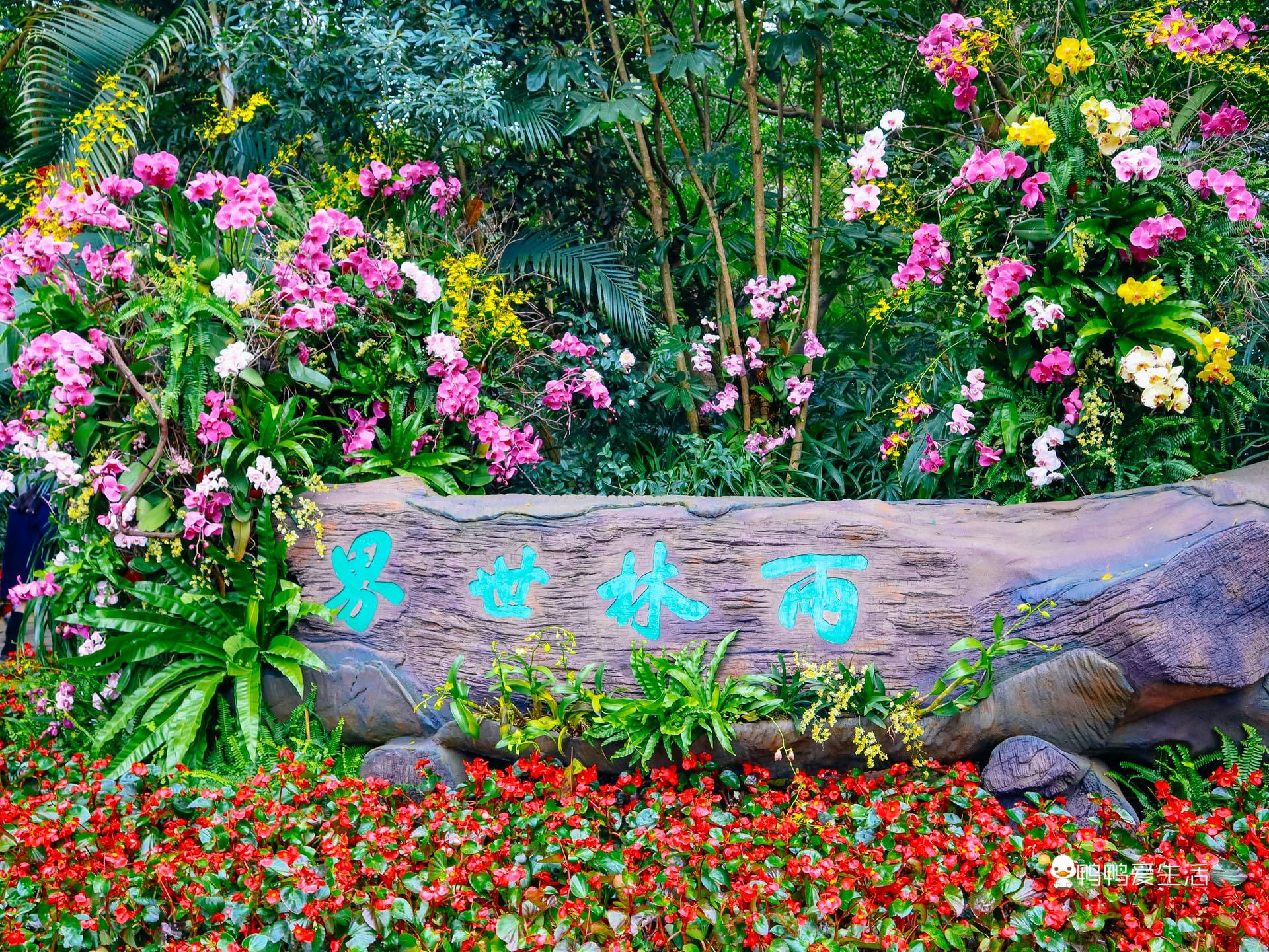 景点|厦门园林植物园春节期间免费开放，花多人多喜气洋洋，新春好去处