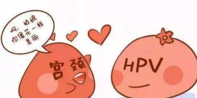 94a8297fc1ae4f6e8d98445e8ab47f05.jpeg
