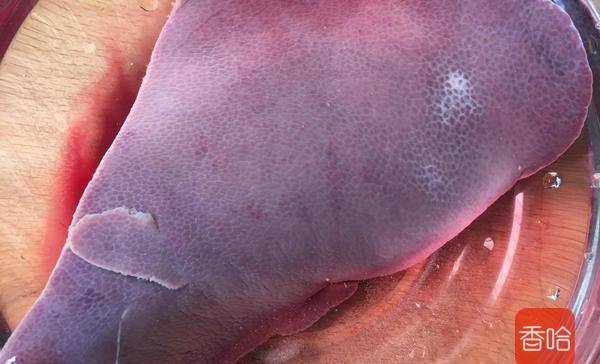 吃什么东西可以补肝脏 0b0e410e02c649ea9676a397c585f94c.jpeg