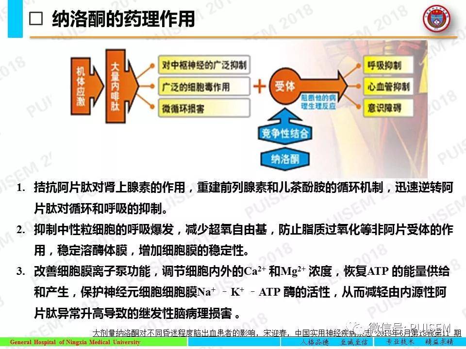 扩展知识:纳洛酮的作用机制②促醒药物:纳洛酮能特异性拮抗内源性吗啡