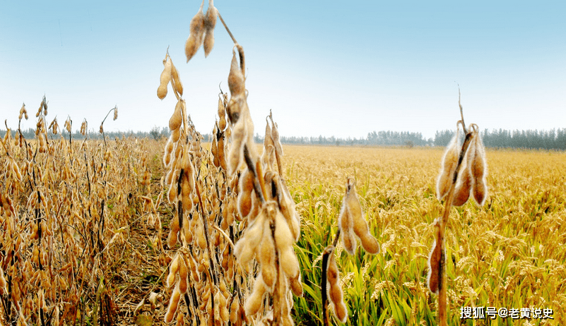 农业国|正月初八，古人怎么过？有一个特殊习俗，现代人接受不了！